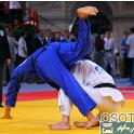 WCPARIS2011 90002